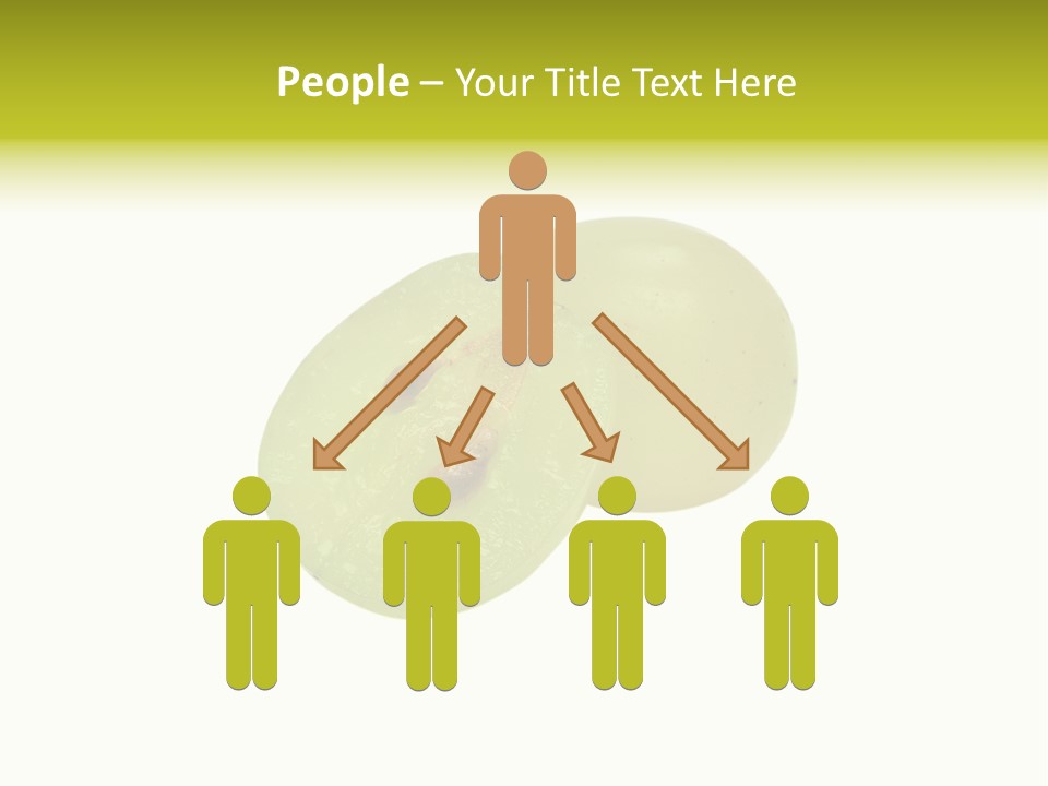 Vine Bunch Group PowerPoint Template