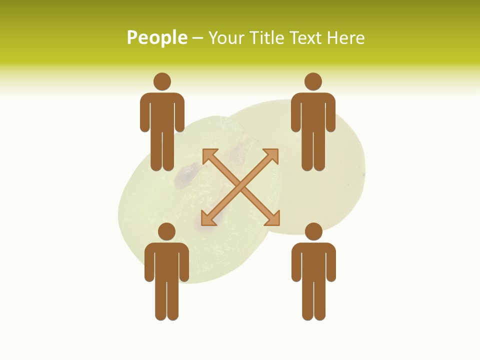 Vine Bunch Group PowerPoint Template