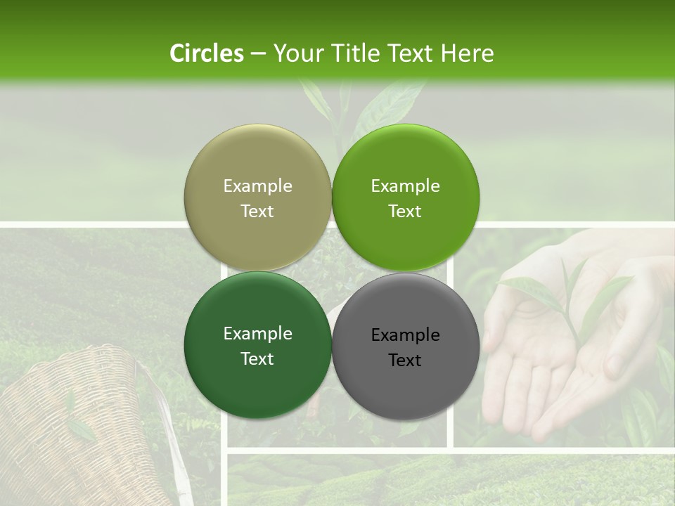Farm Growth Scissors PowerPoint Template