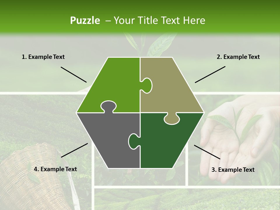 Farm Growth Scissors PowerPoint Template