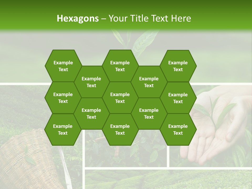 Farm Growth Scissors PowerPoint Template