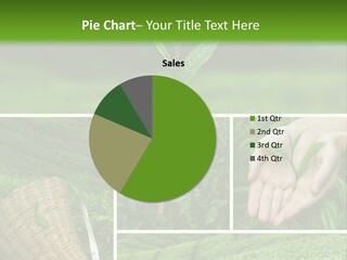 Farm Growth Scissors PowerPoint Template