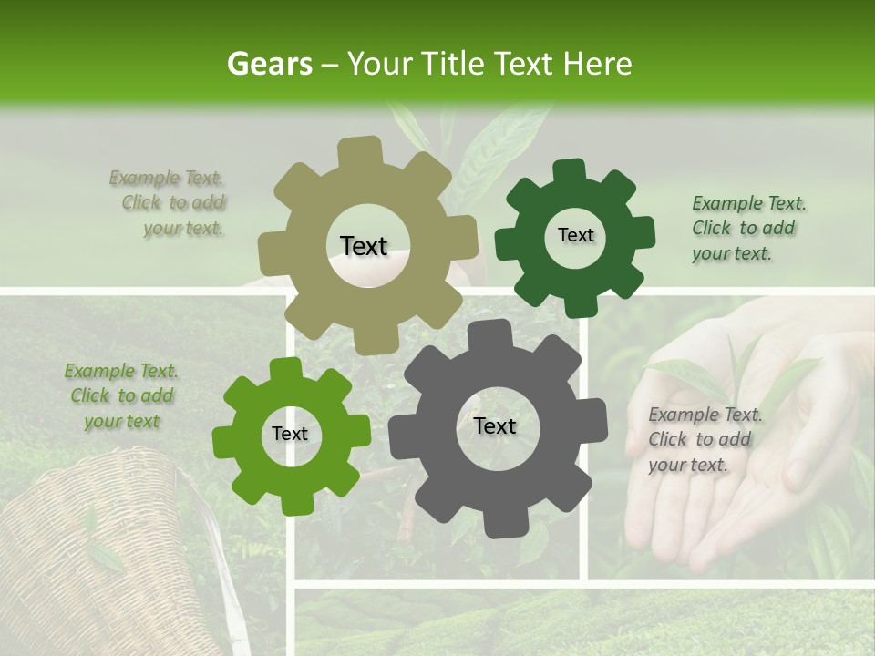 Farm Growth Scissors PowerPoint Template