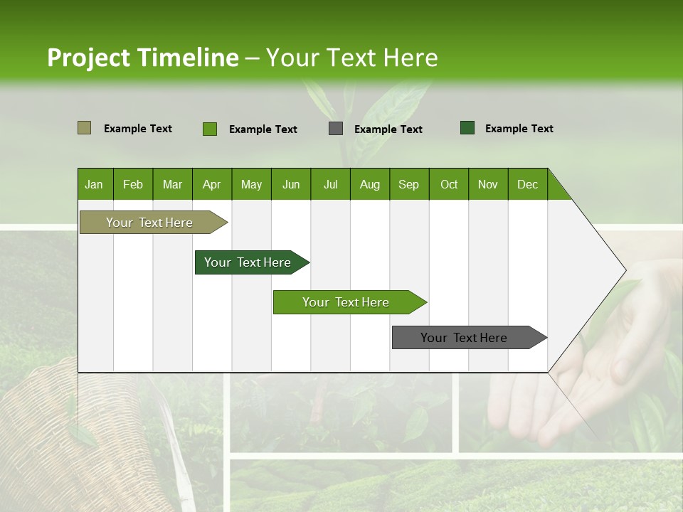 Farm Growth Scissors PowerPoint Template