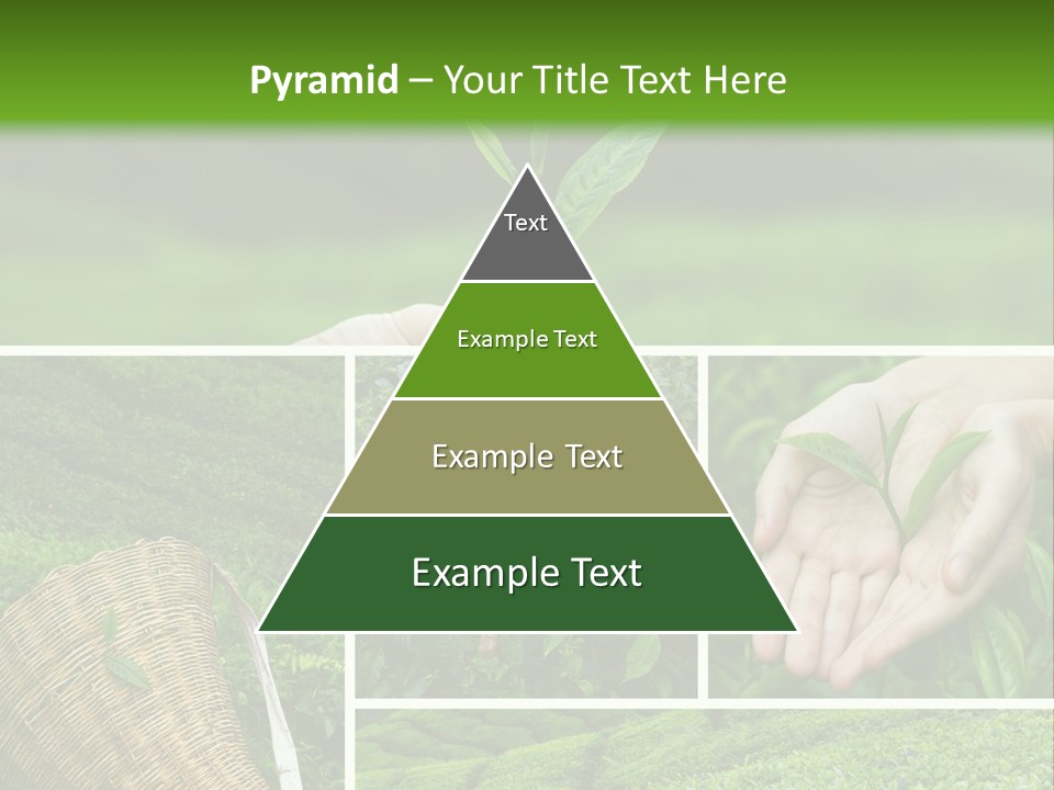 Farm Growth Scissors PowerPoint Template