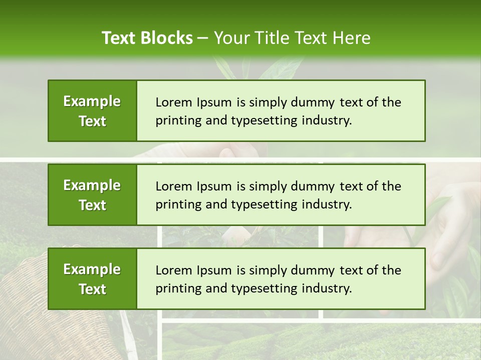 Farm Growth Scissors PowerPoint Template
