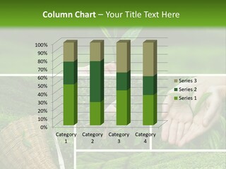 Farm Growth Scissors PowerPoint Template