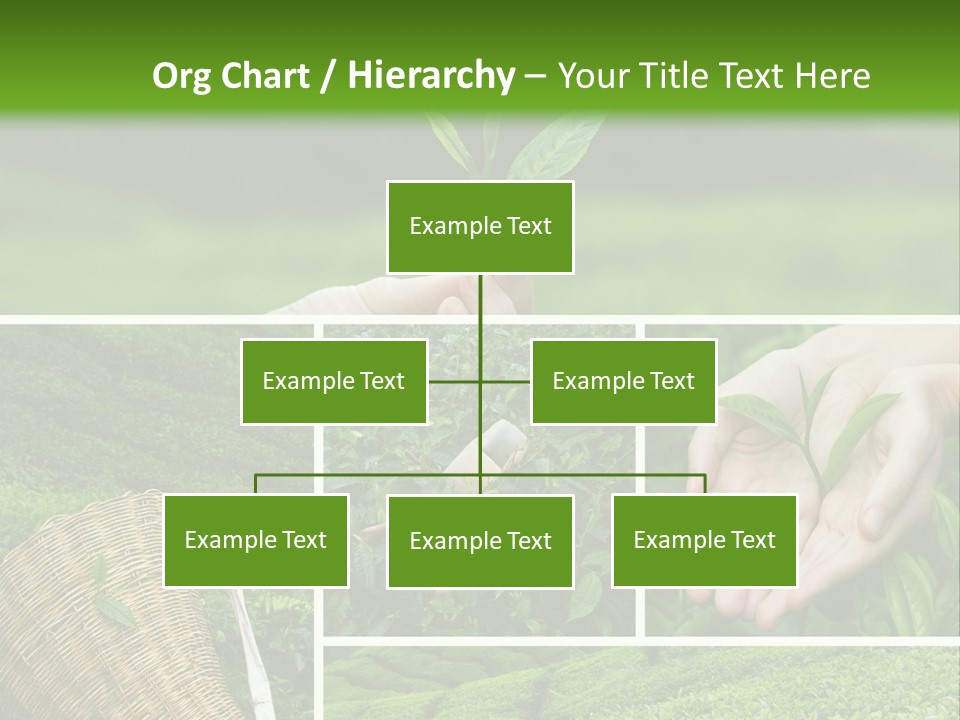 Farm Growth Scissors PowerPoint Template