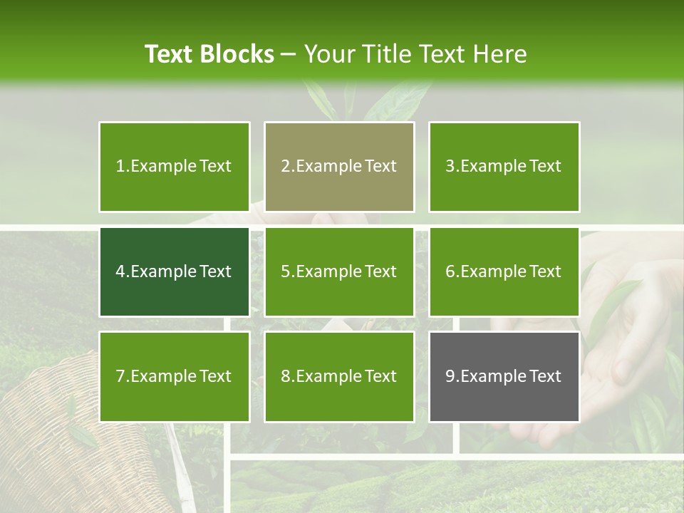 Farm Growth Scissors PowerPoint Template