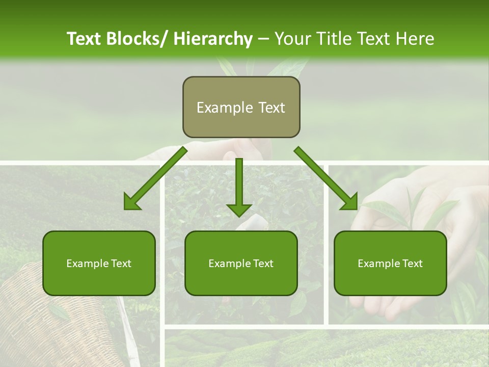 Farm Growth Scissors PowerPoint Template