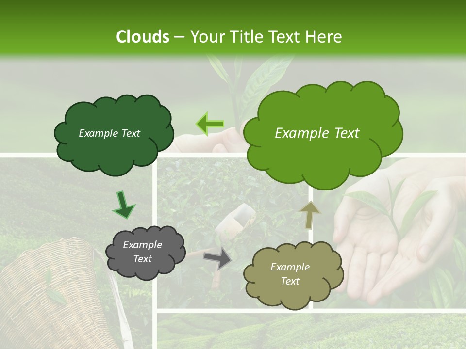 Farm Growth Scissors PowerPoint Template