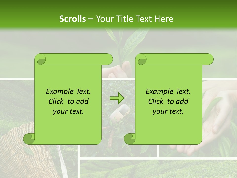 Farm Growth Scissors PowerPoint Template