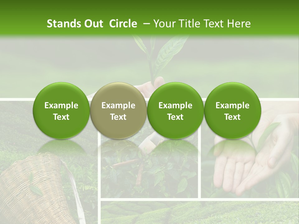 Farm Growth Scissors PowerPoint Template