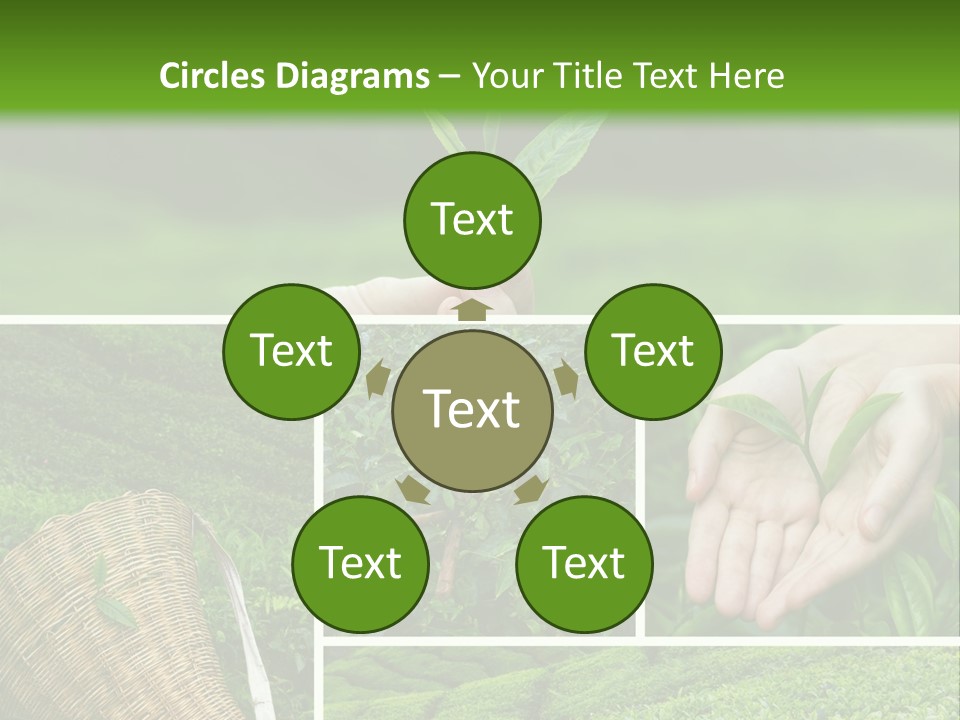 Farm Growth Scissors PowerPoint Template