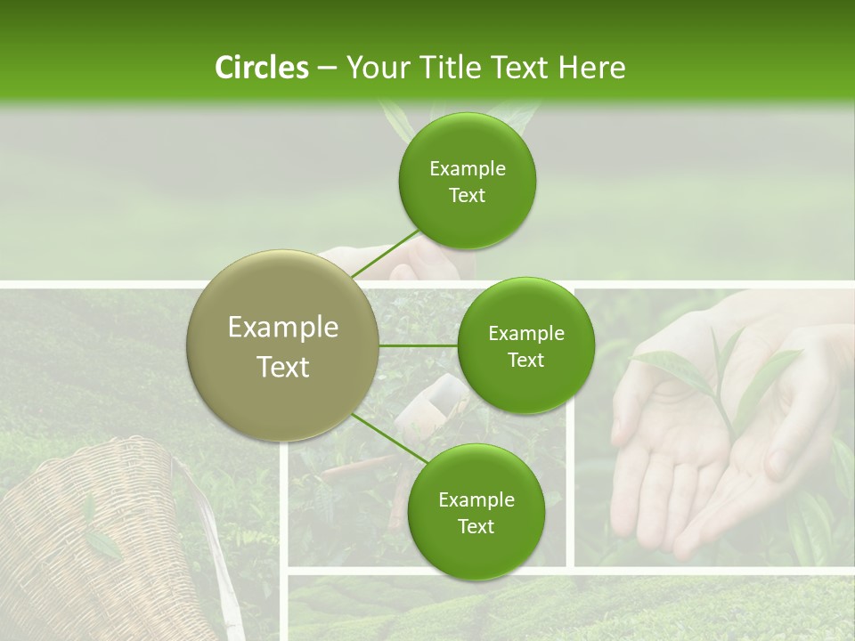 Farm Growth Scissors PowerPoint Template