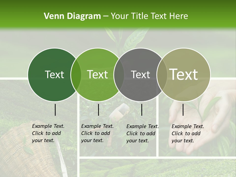 Farm Growth Scissors PowerPoint Template