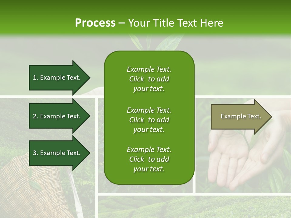 Farm Growth Scissors PowerPoint Template