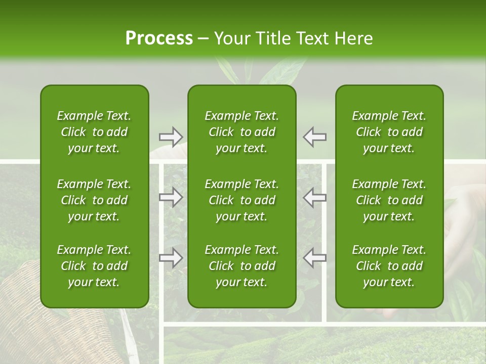 Farm Growth Scissors PowerPoint Template