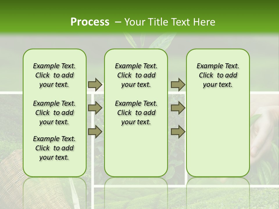 Farm Growth Scissors PowerPoint Template