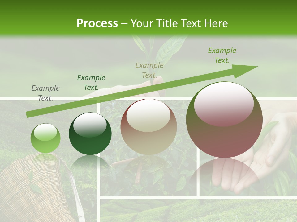 Farm Growth Scissors PowerPoint Template