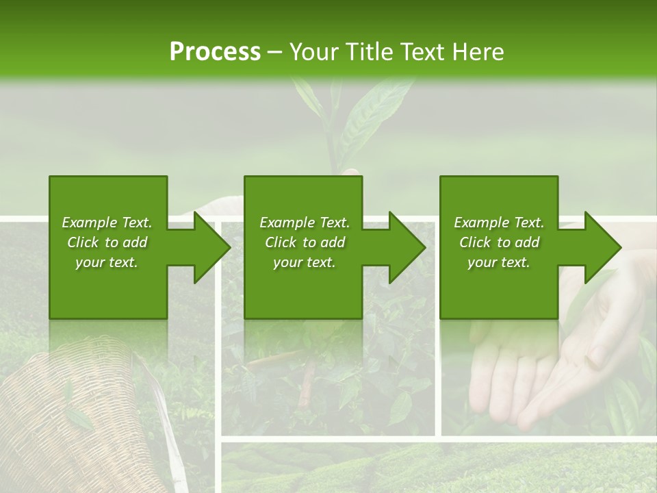 Farm Growth Scissors PowerPoint Template