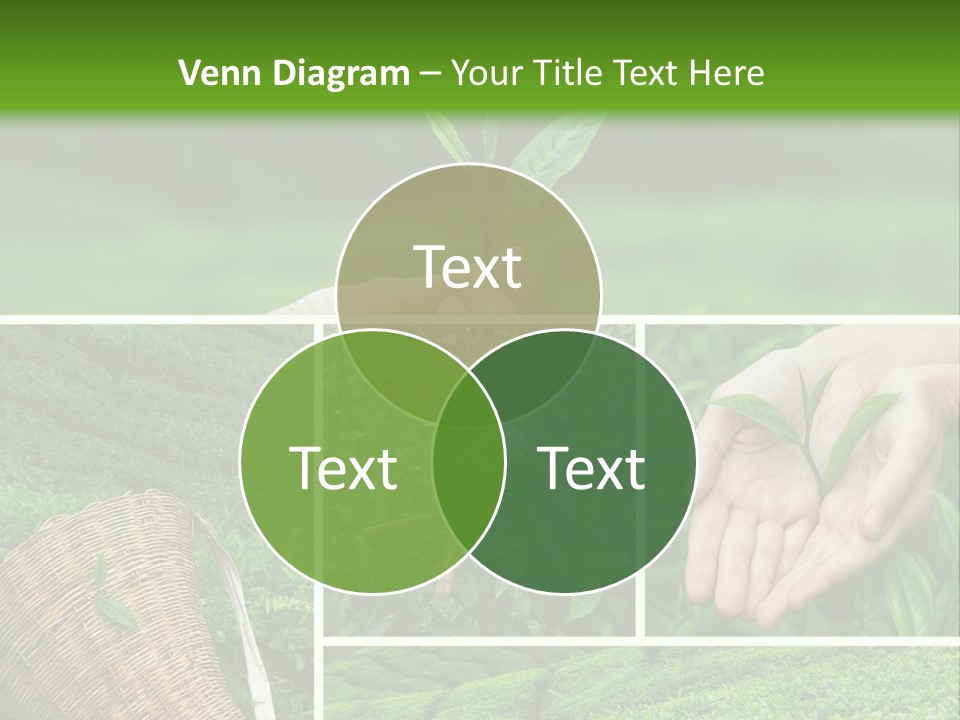 Farm Growth Scissors PowerPoint Template