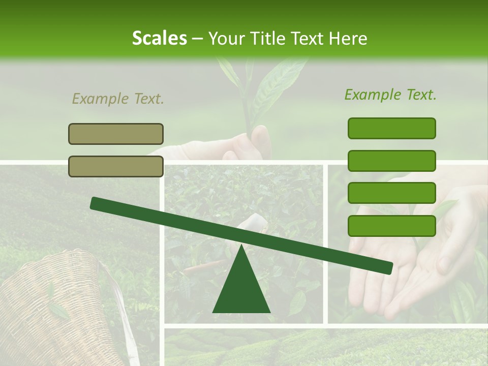 Farm Growth Scissors PowerPoint Template