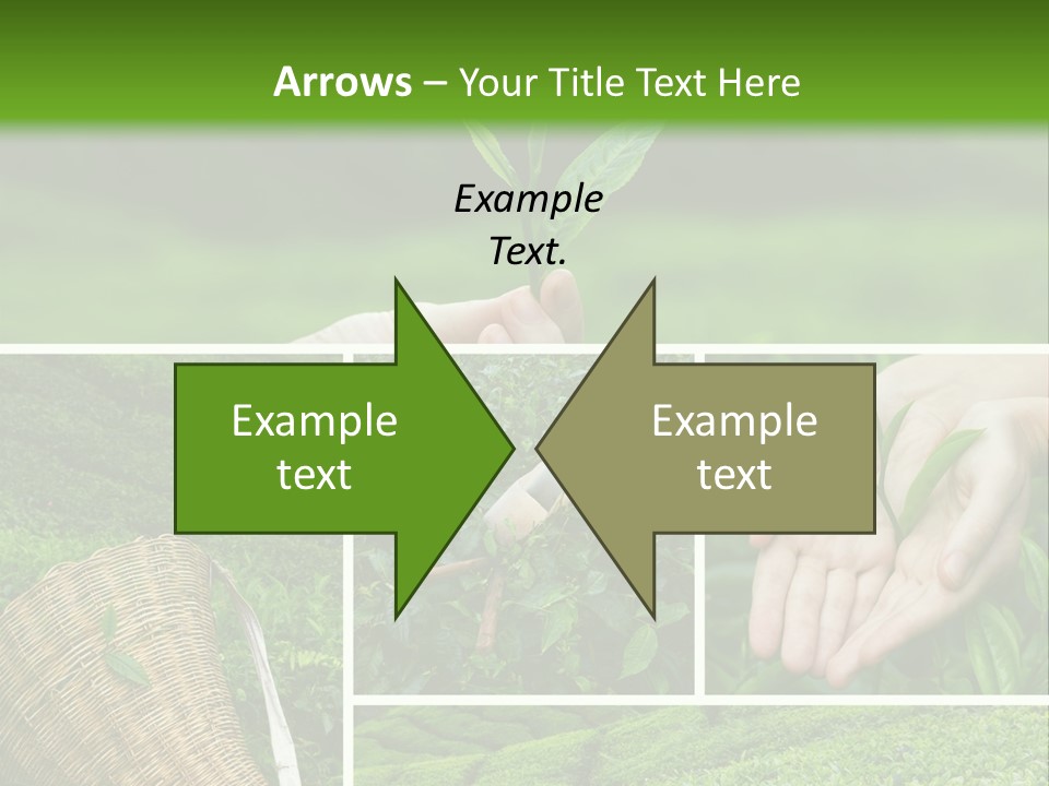 Farm Growth Scissors PowerPoint Template