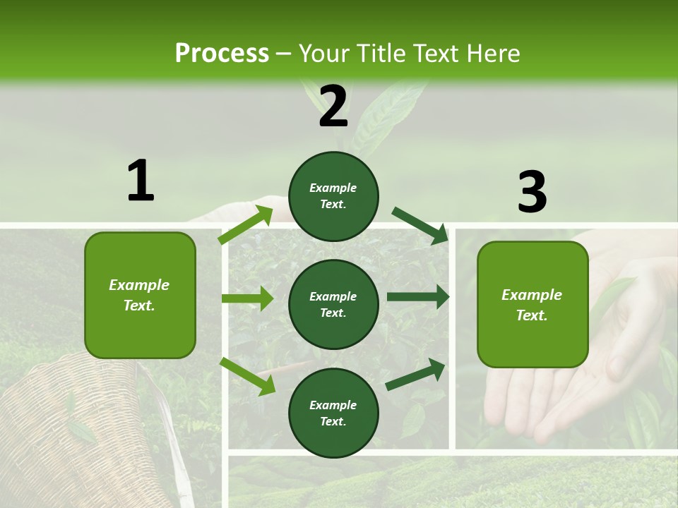 Farm Growth Scissors PowerPoint Template