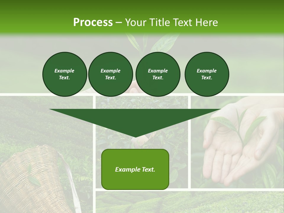 Farm Growth Scissors PowerPoint Template