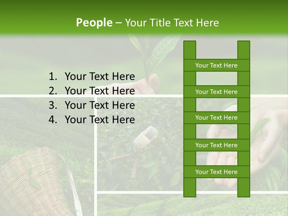 Farm Growth Scissors PowerPoint Template