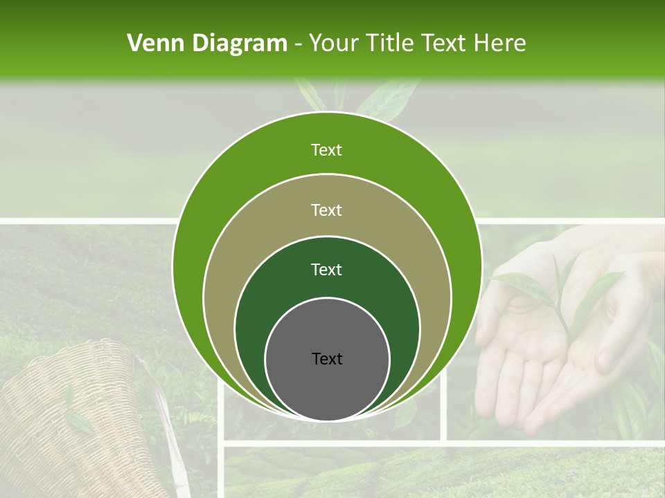 Farm Growth Scissors PowerPoint Template