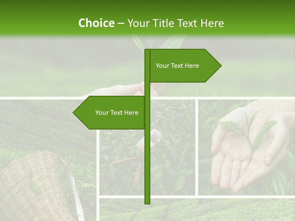 Farm Growth Scissors PowerPoint Template