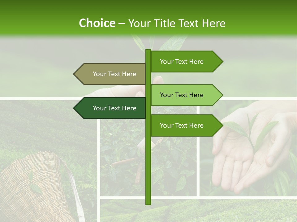 Farm Growth Scissors PowerPoint Template