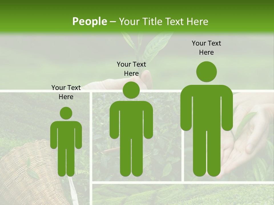 Farm Growth Scissors PowerPoint Template