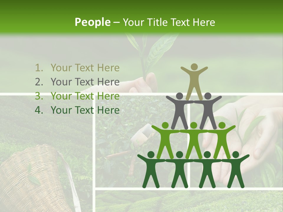 Farm Growth Scissors PowerPoint Template