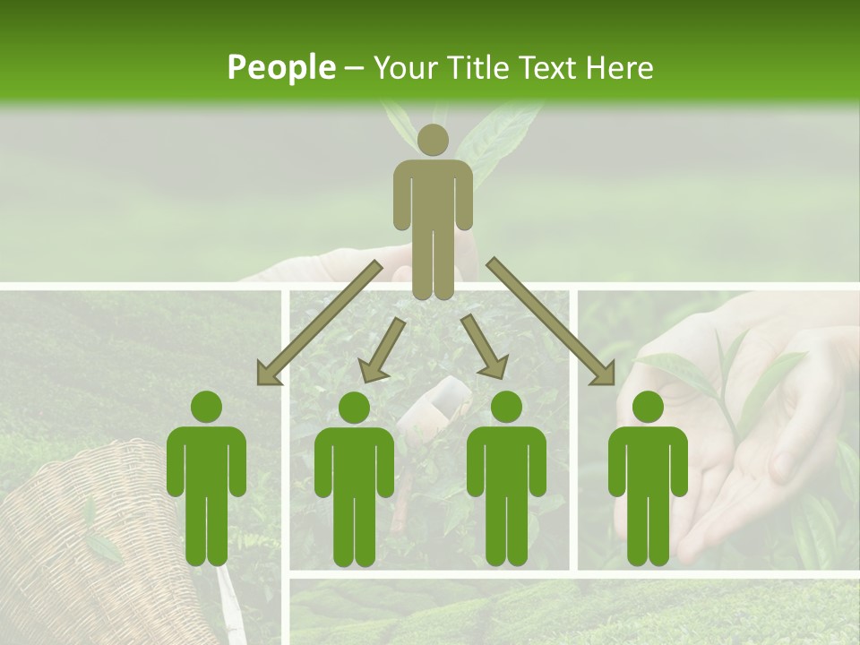 Farm Growth Scissors PowerPoint Template