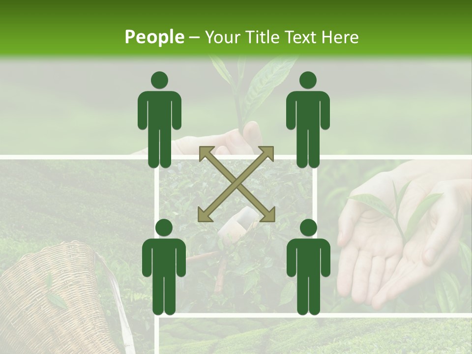 Farm Growth Scissors PowerPoint Template