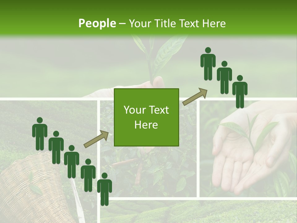 Farm Growth Scissors PowerPoint Template