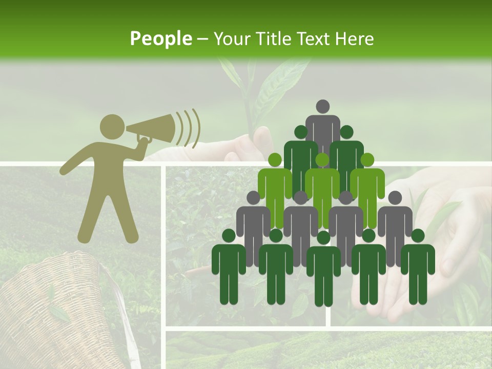 Farm Growth Scissors PowerPoint Template