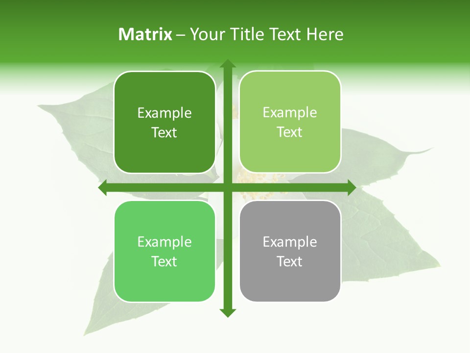 Macro Green Background PowerPoint Template