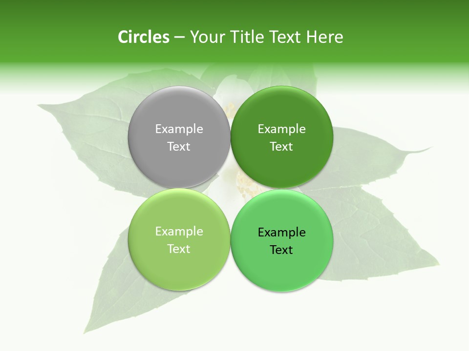 Macro Green Background PowerPoint Template