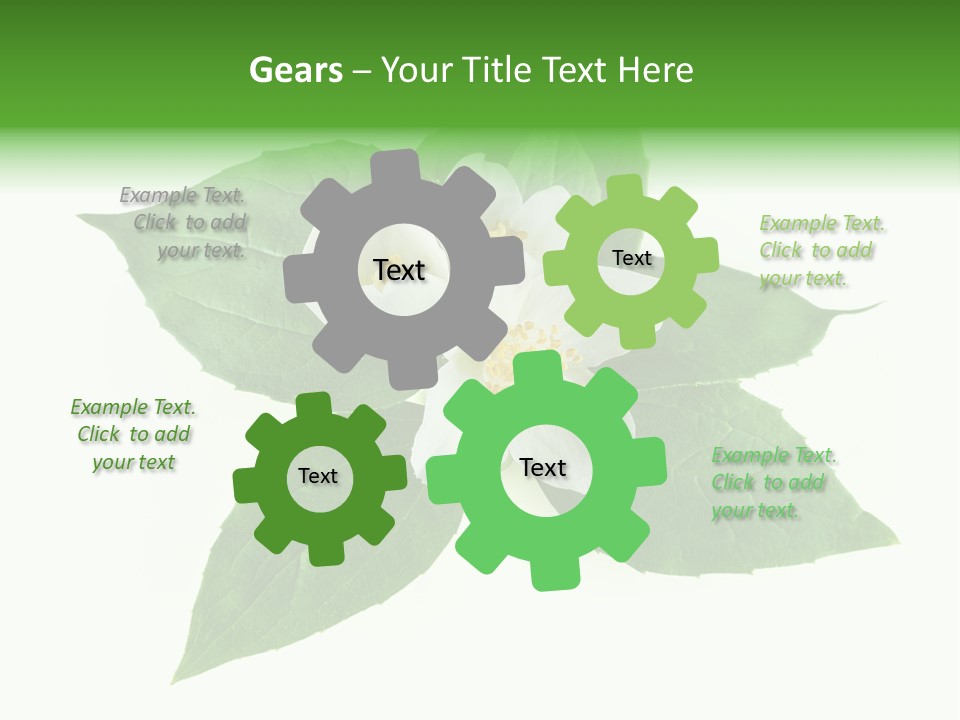 Macro Green Background PowerPoint Template