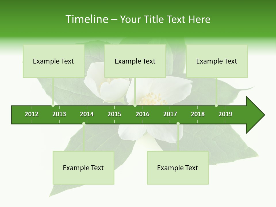 Macro Green Background PowerPoint Template