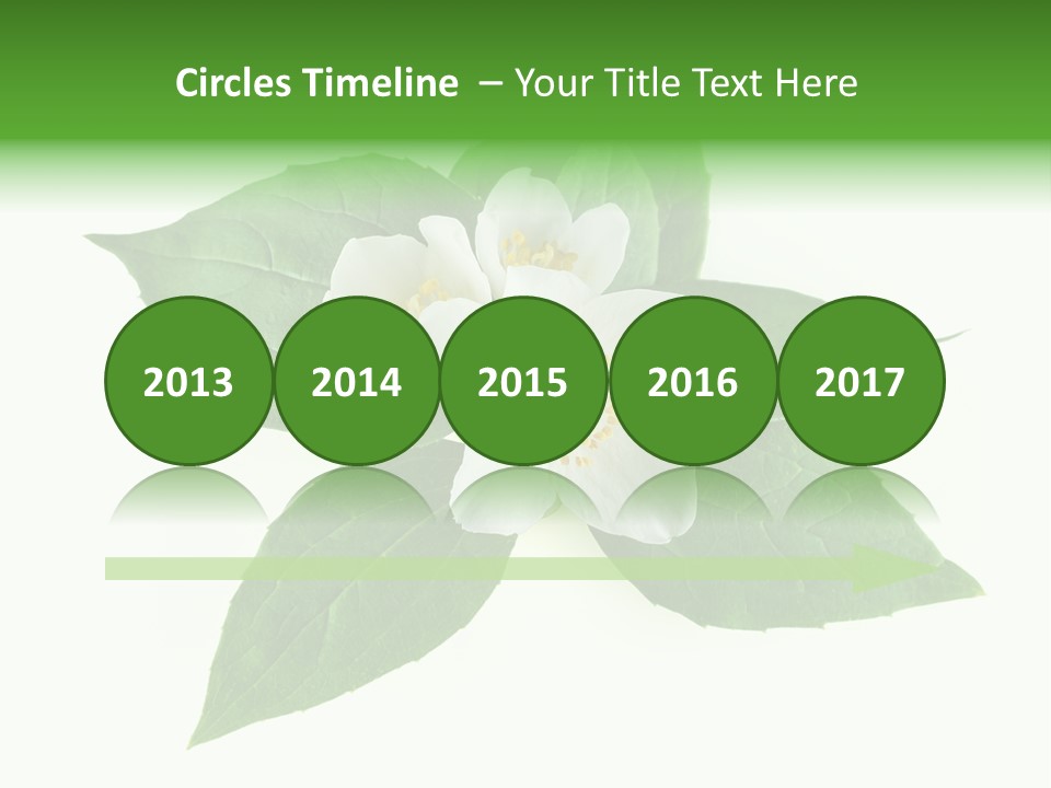 Macro Green Background PowerPoint Template