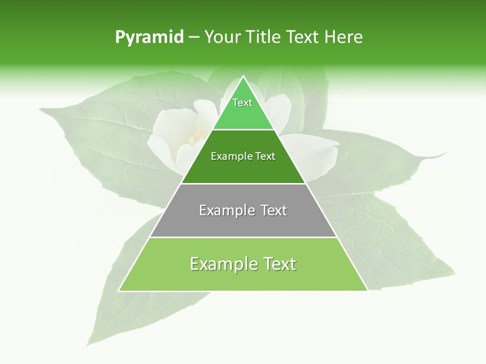 Macro Green Background PowerPoint Template