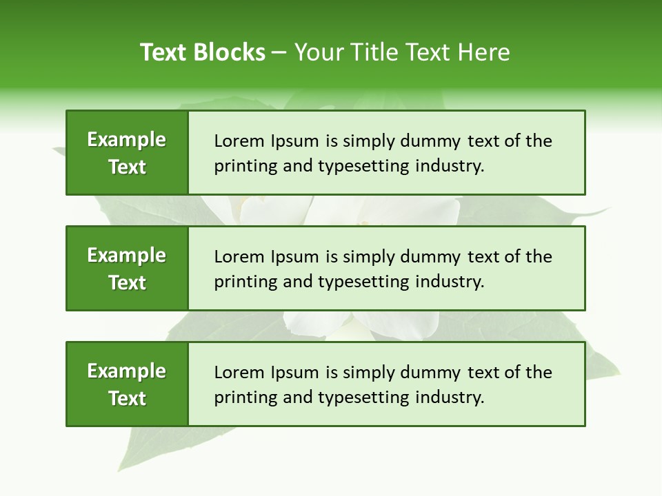 Macro Green Background PowerPoint Template