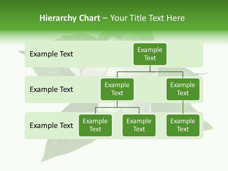 Macro Green Background PowerPoint Template