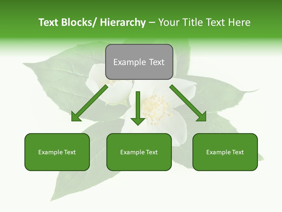 Macro Green Background PowerPoint Template