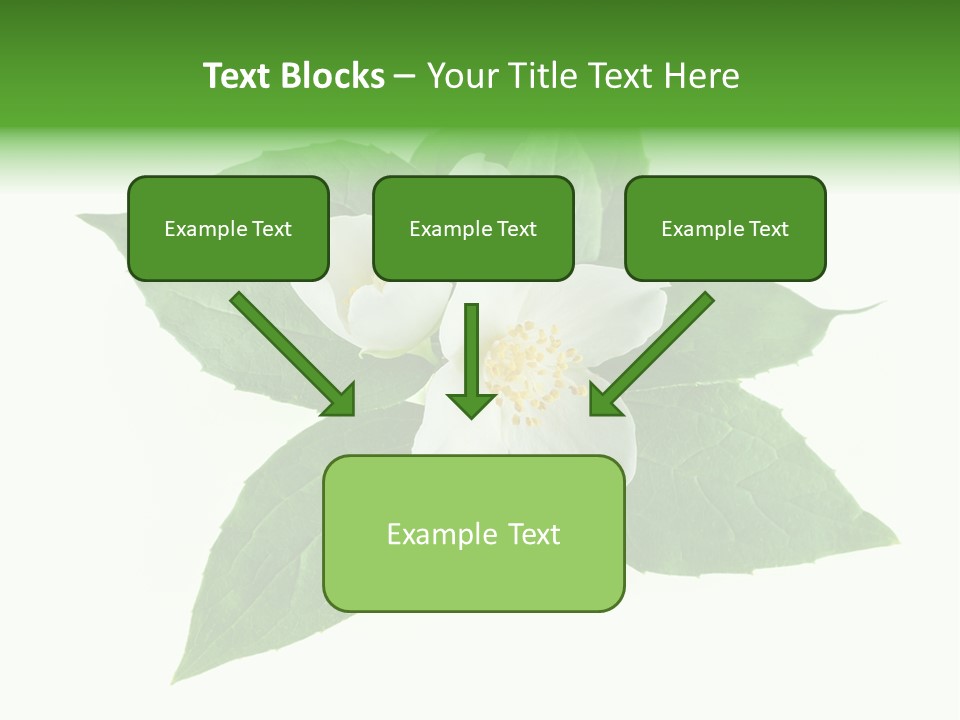 Macro Green Background PowerPoint Template